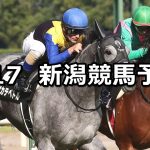 【日本海ステークス】2019/8/17(土) 新潟競馬 穴馬予想