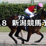 【NST賞】2019/8/18(日) 新潟競馬 穴馬予想