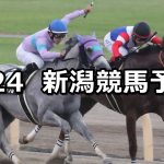 【BSN賞】2019/8/24(土) 新潟競馬 穴馬予想
