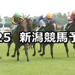 【新潟2歳ステークス】2019/8/25(日) 新潟競馬 穴馬予想