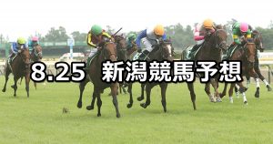【新潟2歳ステークス】2019/8/25(日) 新潟競馬 穴馬予想