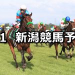 【新潟記念】2019/9/1(日) 新潟競馬 穴馬予想