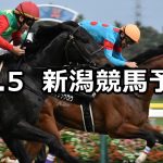 【魚沼特別】2019/10/5(土) 新潟競馬 穴馬予想