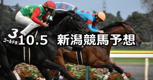 【魚沼特別】2019/10/5(土) 新潟競馬 穴馬予想