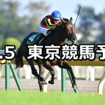 【サウジアラビアRC】2019/10/5(土) 東京競馬 穴馬予想