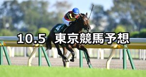 【サウジアラビアRC】2019/10/5(土) 東京競馬 穴馬予想