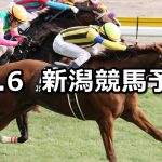 【信越ステークス】2019/10/6(日) 新潟競馬 穴馬予想