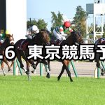 【毎日王冠】2019/10/6(日) 東京競馬 穴馬予想