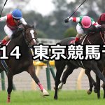 【府中牝馬ステークス】2019/10/14(月) 東京競馬 穴馬予想