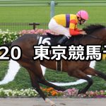 【ブラジルカップ】2019/10/20(日) 東京競馬 穴馬予想