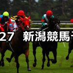 【ルミエールAD】2019/10/27(日) 新潟競馬 穴馬予想