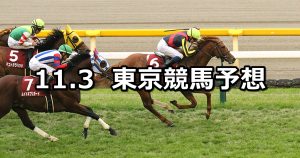 【アルゼンチン共和国杯】2019/11/3(日) 東京競馬 穴馬予想