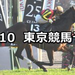 【オーロカップ】2019/11/10(日) 東京競馬 穴馬予想