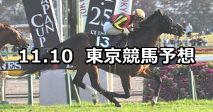 【オーロカップ】2019/11/10(日) 東京競馬 穴馬予想