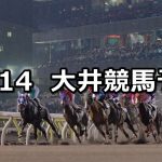【シンデレラマイルトライアル】2019/11/14(木)地方競馬 穴馬予想(大井競馬)