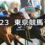 【キャピタルステークス】2019/11/23(土) 東京競馬 穴馬予想