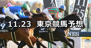 【キャピタルステークス】2019/11/23(土) 東京競馬 穴馬予想