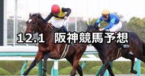 【逆瀬川ステークス】2019/12/1(日) 阪神競馬 穴馬予想