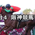 【タンザナイトステークス】2019/12/14(土) 阪神競馬 穴馬予想