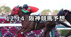 【タンザナイトステークス】2019/12/14(土) 阪神競馬 穴馬予想