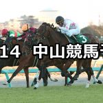 【ターコイズステークス】2019/12/14(土) 中山競馬 穴馬予想