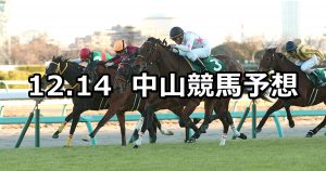 【ターコイズステークス】2019/12/14(土) 中山競馬 穴馬予想