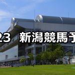 【大日岳特別】2020/5/23(土) 新潟競馬 穴馬予想