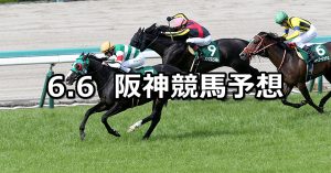 【鳴尾記念】2020/6/6(土) 阪神競馬 穴馬予想