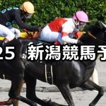 【越後ステークス】2020/7/25(土) 新潟競馬 穴馬予想