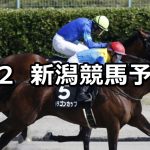 【関越ステークス】2020/8/2(日) 新潟競馬 穴馬予想