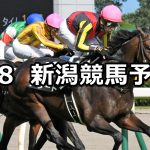 【佐渡ステークス】2020/8/8(土) 新潟競馬 穴馬予想