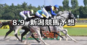 【レパードステークス】2020/8/9(日) 新潟競馬 穴馬予想
