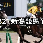 【日本海ステークス】2020/8/22(土) 新潟競馬 穴馬予想