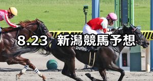 【NST賞】2020/8/23(日) 新潟競馬 穴馬予想