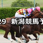 【BSN賞】2020/8/29(土) 新潟競馬 穴馬予想