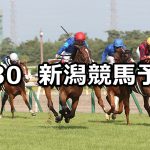 【新潟2歳ステークス】2020/8/30(日) 新潟競馬 穴馬予想