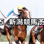 【長岡ステークス】2020/9/5(土) 新潟競馬 穴馬予想