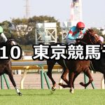 【サウジアラビアRC】2020/10/10(土) 中央競馬予想(東京競馬)