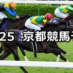 【菊花賞】2020/10/25(日) 中央競馬予想(京都競馬)