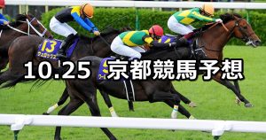 【菊花賞】2020/10/25(日) 中央競馬予想(京都競馬)