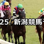 【ルミエールAD】2020/10/25(日) 中央競馬予想(新潟競馬)