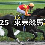 【ブラジルカップ】2020/10/25(日) 中央競馬予想（東京競馬）
