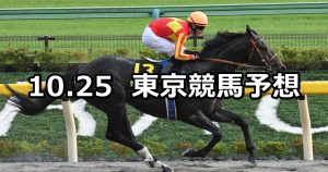 【ブラジルカップ】2020/10/25(日) 中央競馬予想（東京競馬）