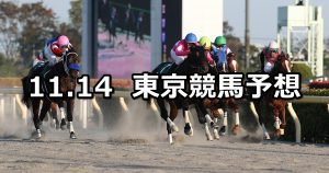 【武蔵野ステークス】2020/11/14(土) 中央競馬予想（東京競馬）