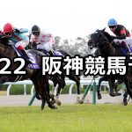 【マイルチャンピオンシップ】2020/11/22(日) 中央競馬予想(阪神競馬)