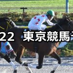 【霜月ステークス】2020/11/22(日) 中央競馬予想(東京競馬)