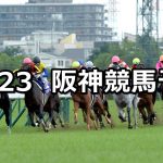 【姫路ステークス】2020/11/23(月) 中央競馬予想(阪神競馬)
