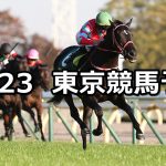 【東スポ杯2歳ステークス】2020/11/23(月) 中央競馬予想(東京競馬)