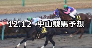 【師走ステークス】2020/12/12(土) 中央競馬 穴馬予想(中山競馬)