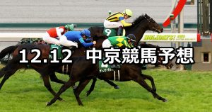 【中日新聞杯】2020/12/12(土) 中央競馬 穴馬予想(中京競馬)